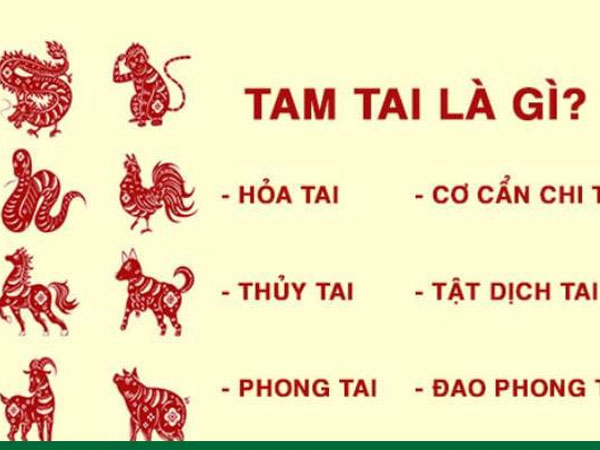 Ảnh bìa bài viết 861180