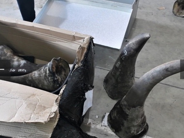Ảnh bìa bài viết 861817