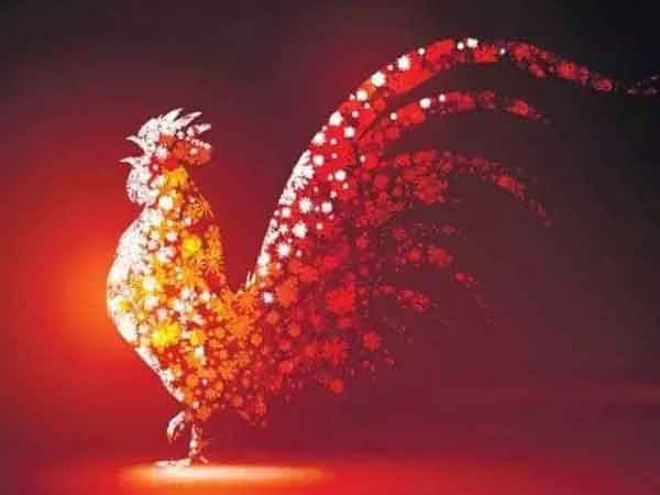 Ảnh bìa bài viết 861978