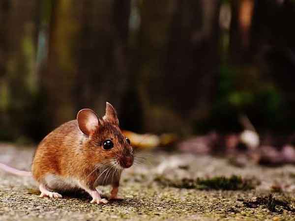 Ảnh bìa bài viết 862727