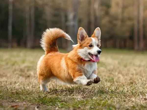 Ảnh bìa bài viết 863089