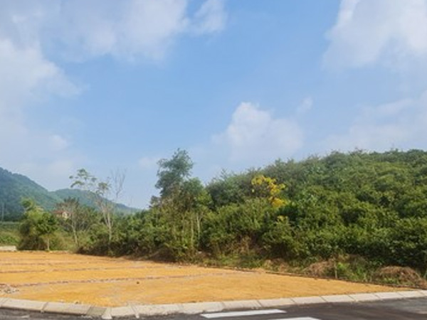 Ảnh bìa bài viết 863153