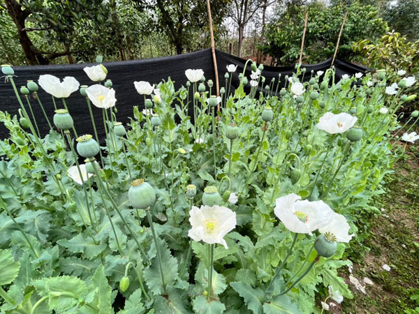 Ảnh bìa bài viết 863627