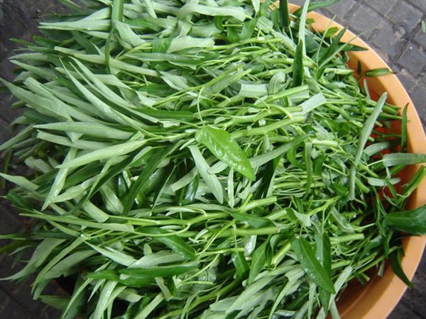 Ảnh bìa bài viết 863955