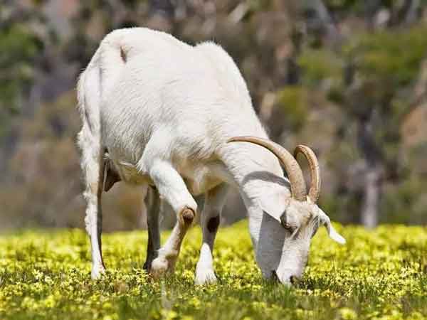 Ảnh bìa bài viết 864031