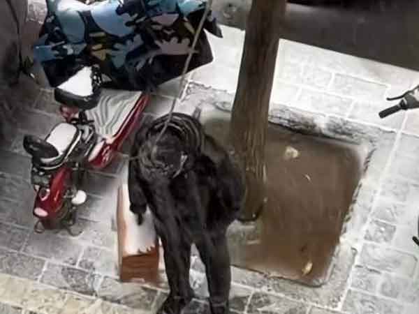 Ảnh bìa bài viết 864855