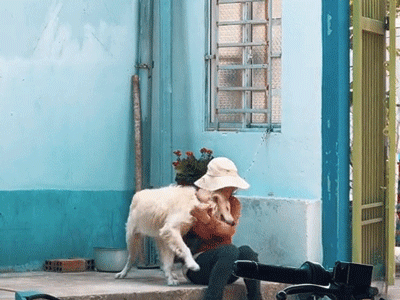 Ảnh bìa bài viết 868567