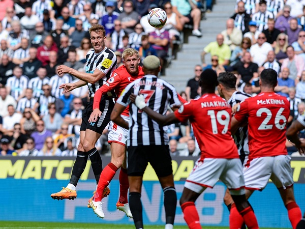 Ảnh bìa bài viết 869114