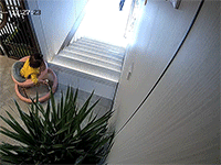 Ảnh bìa bài viết 869204