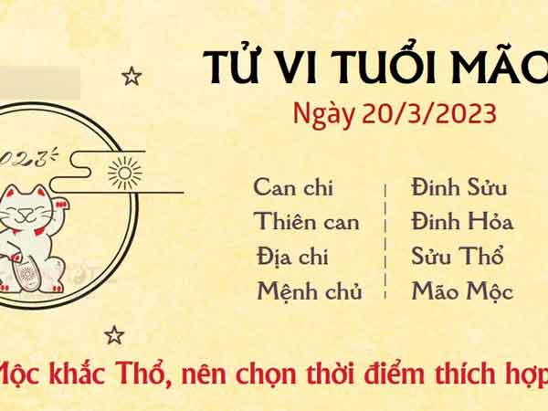 Ảnh bìa bài viết 869441