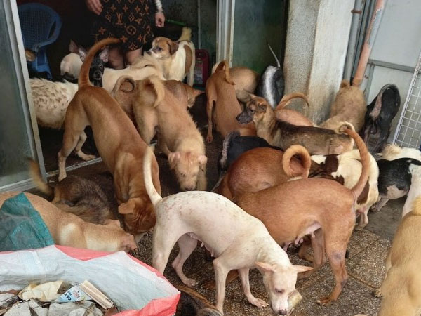 Ảnh bìa bài viết 869838