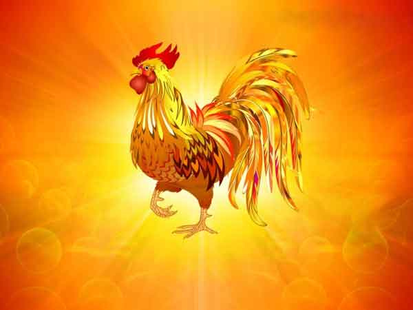 Ảnh bìa bài viết 869960