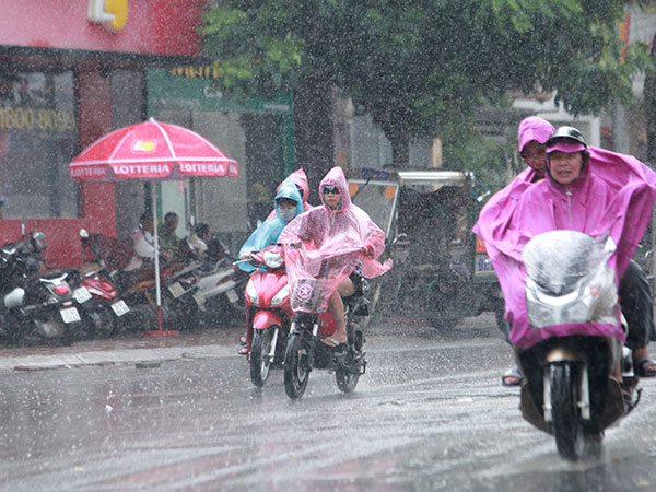 Ảnh bìa bài viết 870258