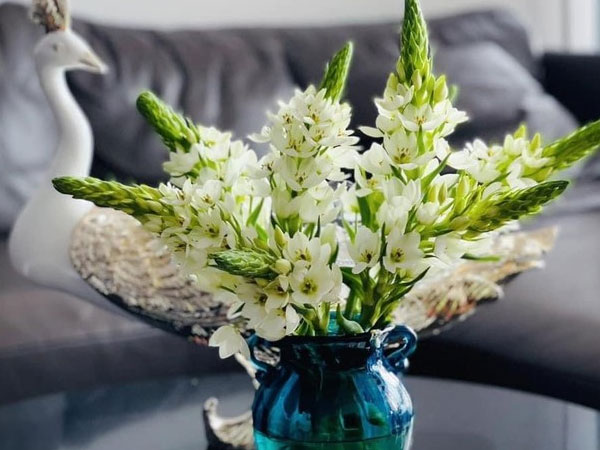 Ảnh bìa bài viết 870513