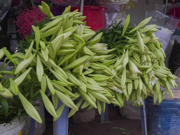 Ảnh bìa bài viết 871356