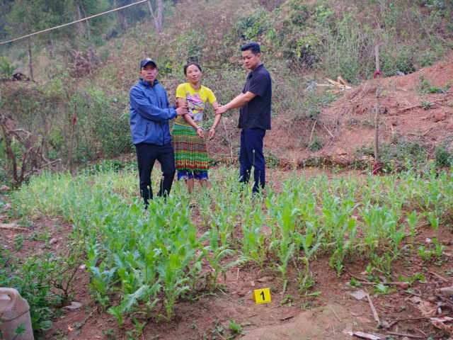 Ảnh bìa bài viết 871658