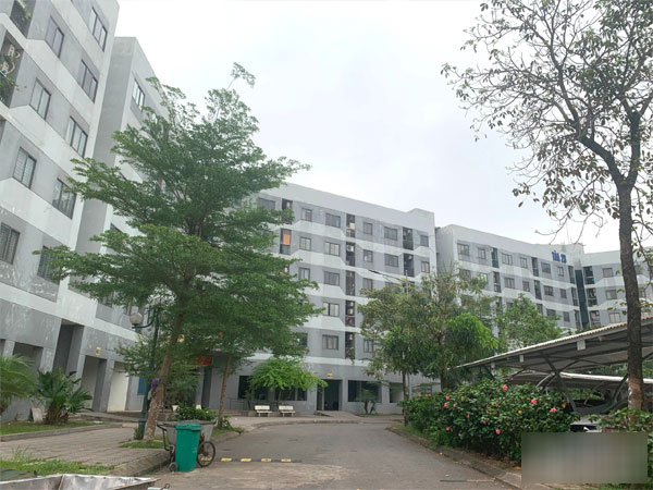 Ảnh bìa bài viết 871593