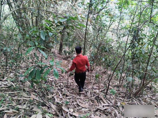 Ảnh bìa bài viết 871743