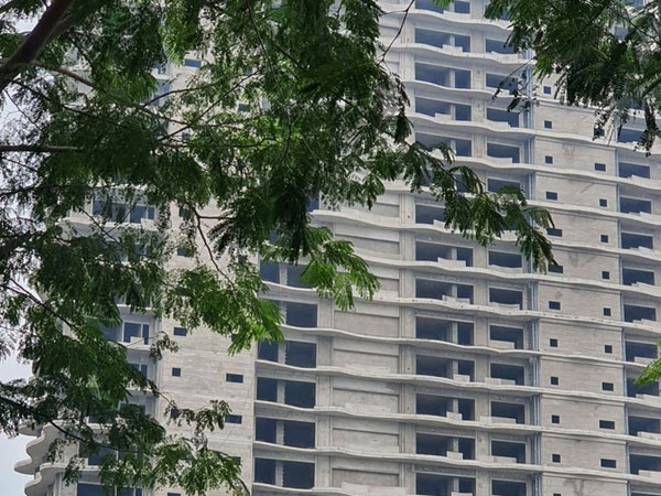 Ảnh bìa bài viết 871936