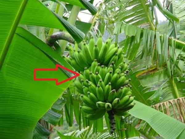Ảnh bìa bài viết 872305