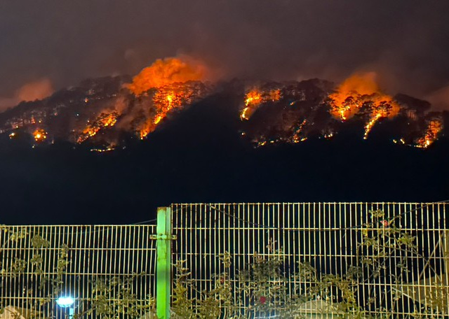 Ảnh bìa bài viết 872794