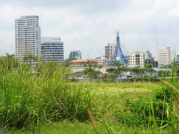 Ảnh bìa bài viết 873110