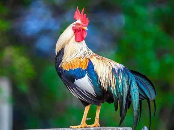 Ảnh bìa bài viết 873307