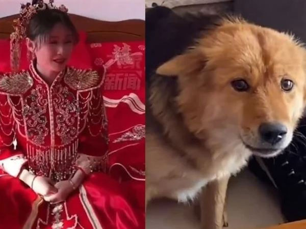 Ảnh bìa bài viết 874887