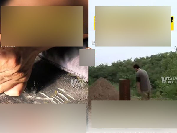 Ảnh bìa bài viết 875535