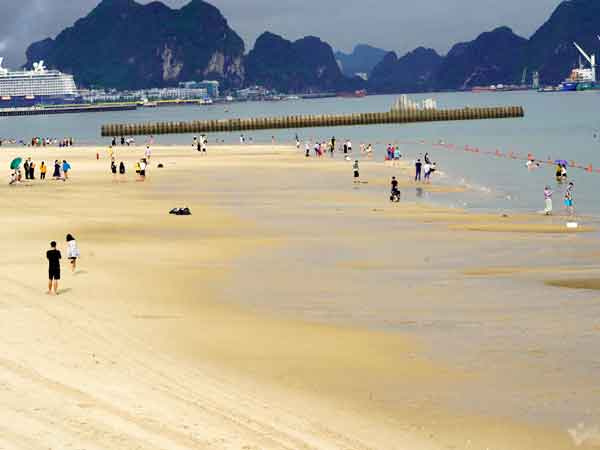 Ảnh bìa bài viết 876293