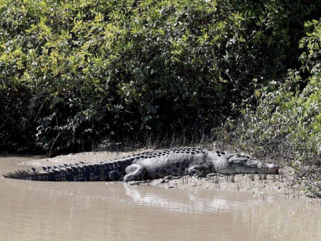 Ảnh bìa bài viết 876777