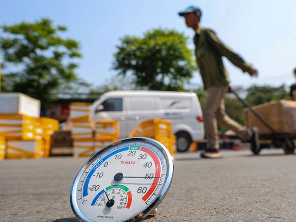 Ảnh bìa bài viết 877328