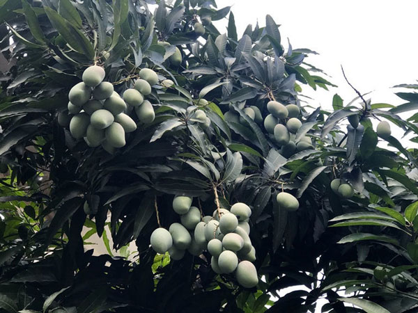 Ảnh bìa bài viết 877973