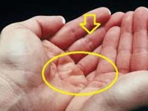 Ảnh bìa bài viết 878729