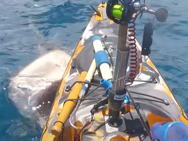 Ảnh bìa bài viết 879044