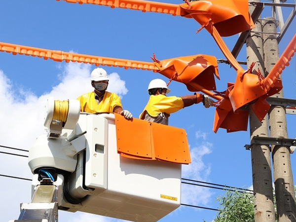 Ảnh bìa bài viết 879116