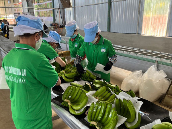 Ảnh bìa bài viết 879419