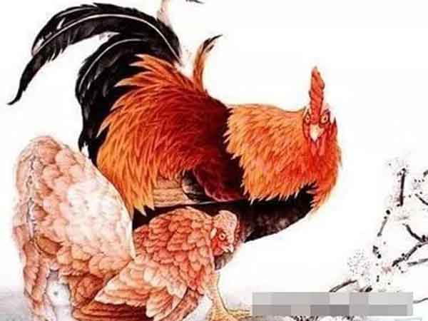 Ảnh bìa bài viết 880209