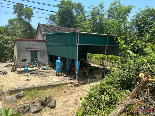 Ảnh bìa bài viết 880862