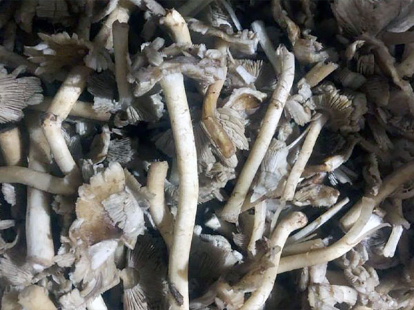 Ảnh bìa bài viết 881154