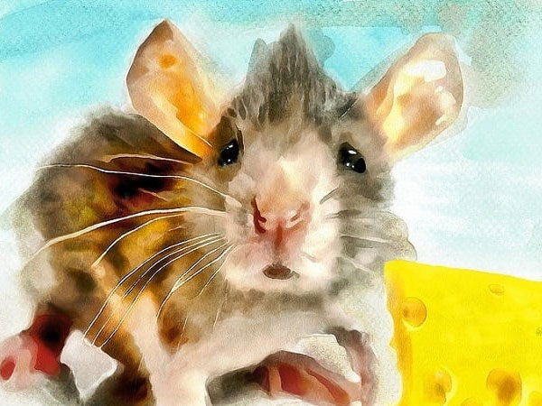 Ảnh bìa bài viết 881639