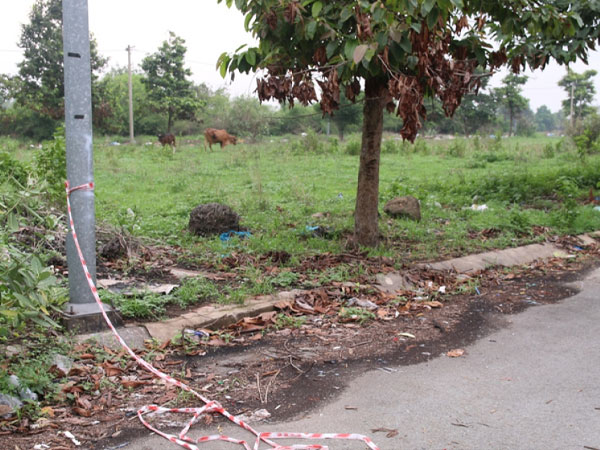 Ảnh bìa bài viết 883400