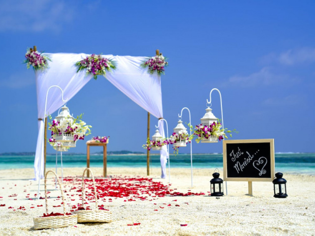Ảnh bìa bài viết 884114