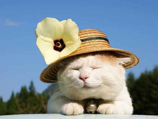 Ảnh bìa bài viết 885347