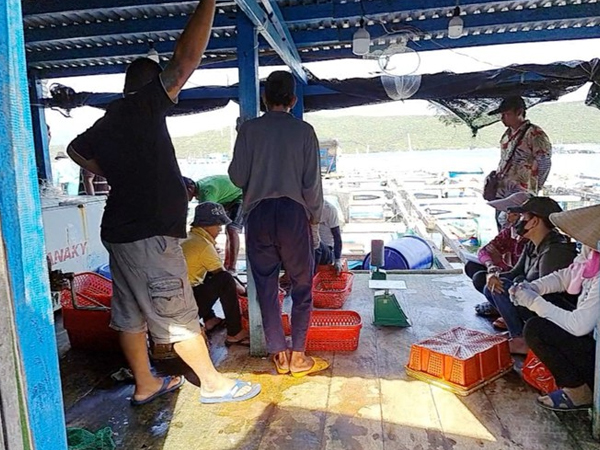 Ảnh bìa bài viết 885691