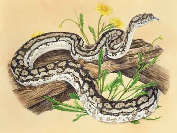 Ảnh bìa bài viết 888397