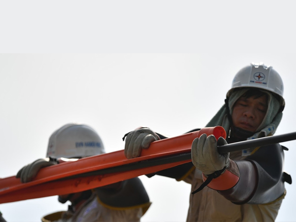 Ảnh bìa bài viết 890528