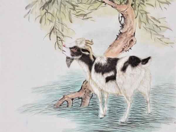 Ảnh bìa bài viết 890792