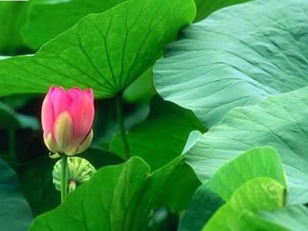 Ảnh bìa bài viết 890879
