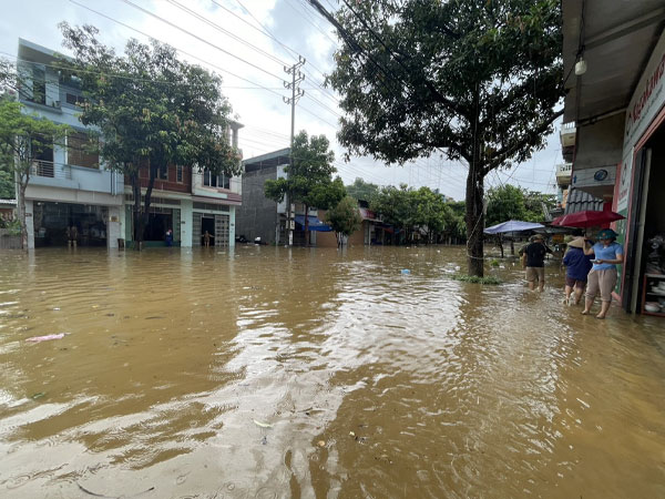 Ảnh bìa bài viết 891253